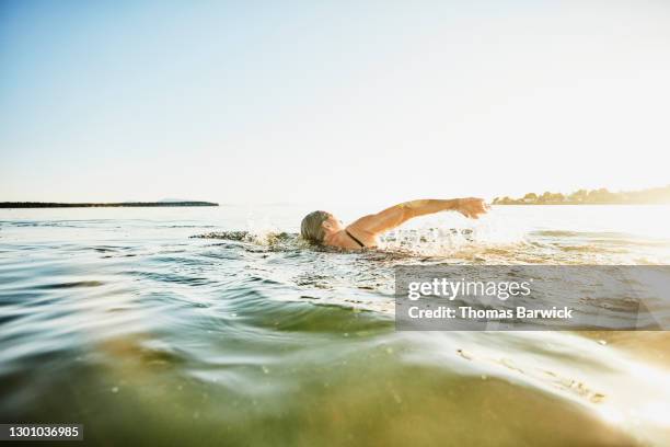 senior woman swimming in bay on summer evening - female swimmer bildbanksfoton och bilder