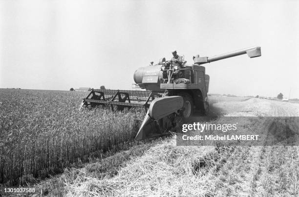 Un agriculteur coupe ses blés avec une moissonneuse-batteuse dans le Pas-de-calais en juillet 1976, France