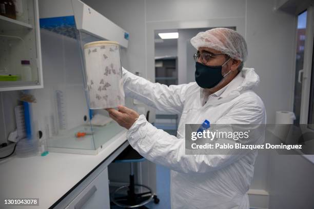 Founder José Escribano shows to the photographer a container with butterflies in a Chrysalis reproduction room at Algenex production plant on...