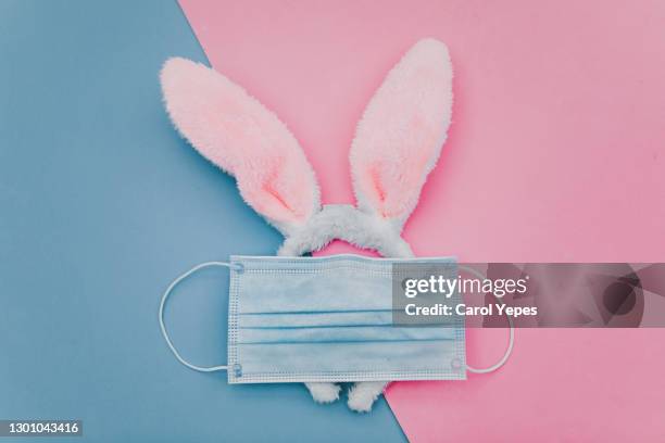 easter in quarantine concept - rabbit fever stock pictures, royalty-free photos & images