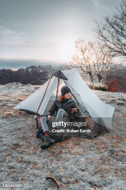 a young woman and her dog with a tent in the top of a mountain enjoying the landscape view - friends loneliness foto e immagini stock