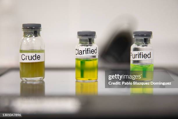 Glass jars contain crude , clarified and purified antigens or formulated vaccines in a lab room at Algenex production plant on February 08, 2021 in...