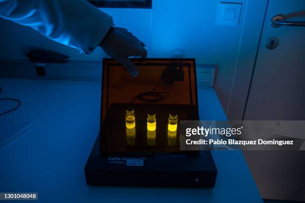 Glass jars containing crude , clarified and purified antigens or formulated vaccines are on display with fluorescent light in a lab room at Algenex...