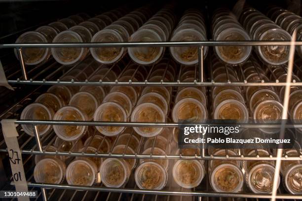 Larvae stay inside a individual containers in a Chrysalis reproduction room at Algenex production plant on February 08, 2021 in Tres Cantos, near...