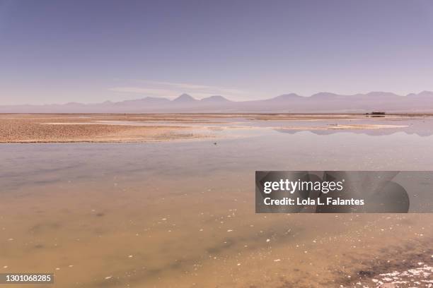 saline lake, salar de atacama, chile - atacama stock-fotos und bilder
