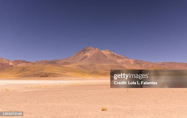 altiplano, atacama. chile - volcanic terrain ストックフォトと画像