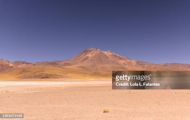 altiplano, atacama. chile - volcanic landscape stock pictures, royalty-free photos & images