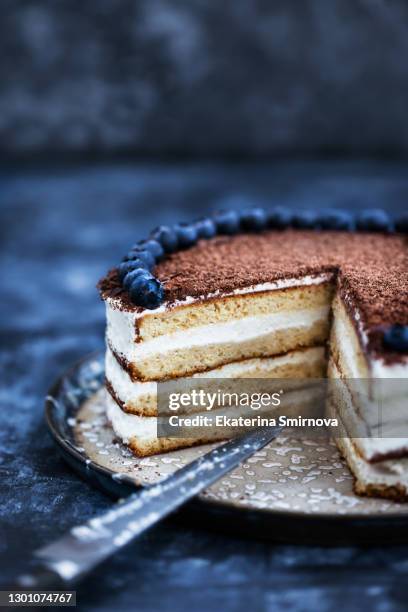 delicious homemade sour cream vanilla cake decorated with chocolate and fresh blueberry - party pies foto e immagini stock