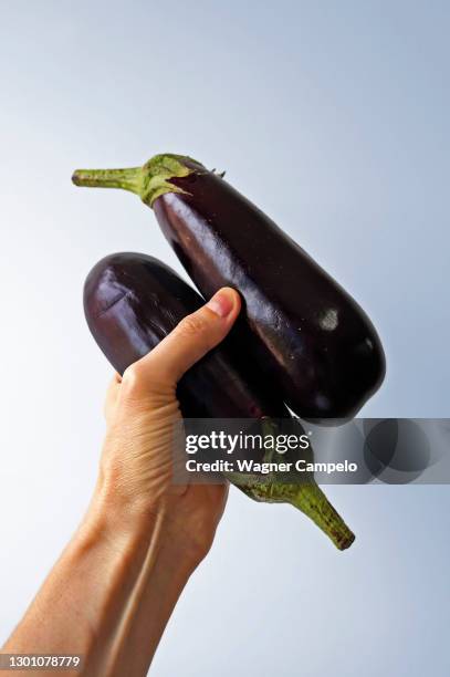 eggplants on hand in a bright background - aubergine fotografías e imágenes de stock