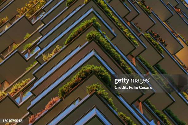 full frame shot of green plants in the balconies of a high riser building. - australian economy stock pictures, royalty-free photos & images