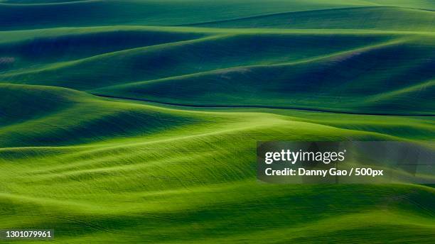 full frame shot of green rolling landscape - rolling landscape stock pictures, royalty-free photos & images