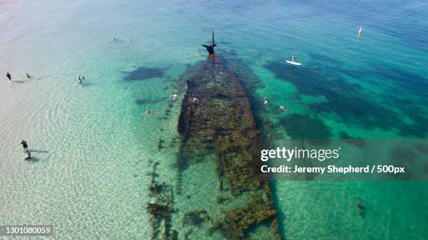aerial view of people swimming around shipwreck near beach,coogee beach,australia - sunken stockfoto's en -beelden