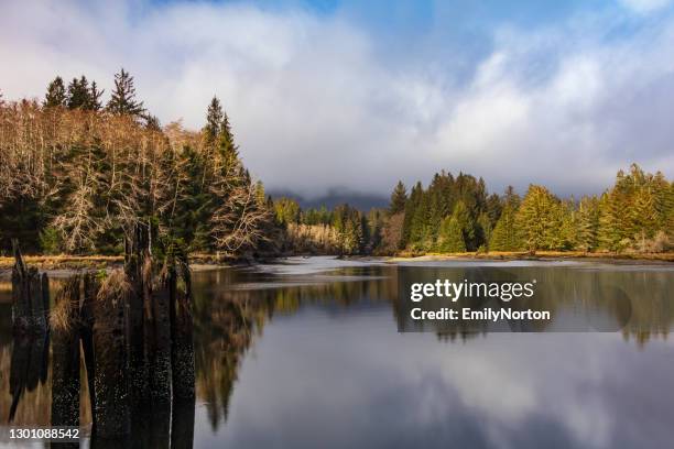 reflections along the shoreline - inlet stock pictures, royalty-free photos & images