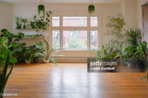 an empty studio space surrounded by plants - woonruimte stockfoto's en -beelden