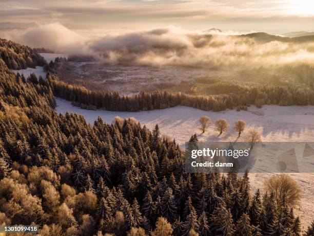 beatiful winter landscape in harghita, romania from above with drone - comté de harghita photos et images de collection