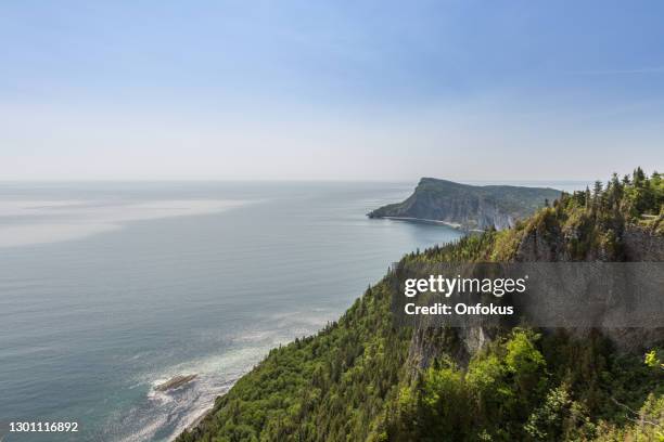 view from mountain summit of forillon national park, gaspe peninsula, quebec, canada - st lawrence river stock pictures, royalty-free photos & images