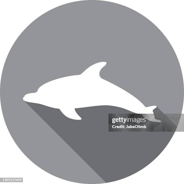 dolphin icon silhouette 2 - dolphins swimming stock illustrations