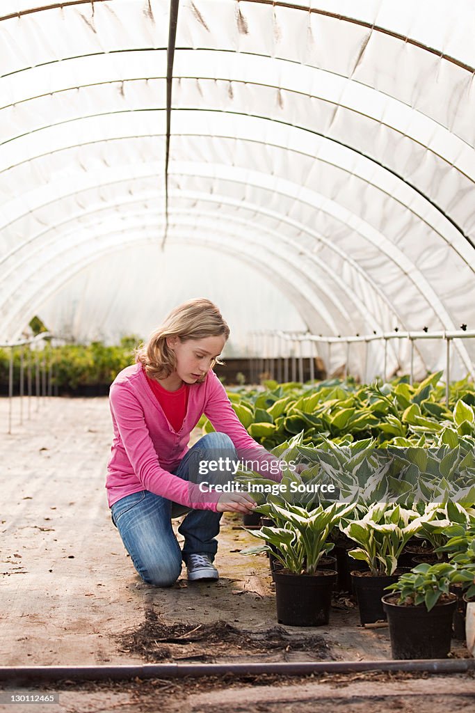 Girl kneeling by plants in polytunnel