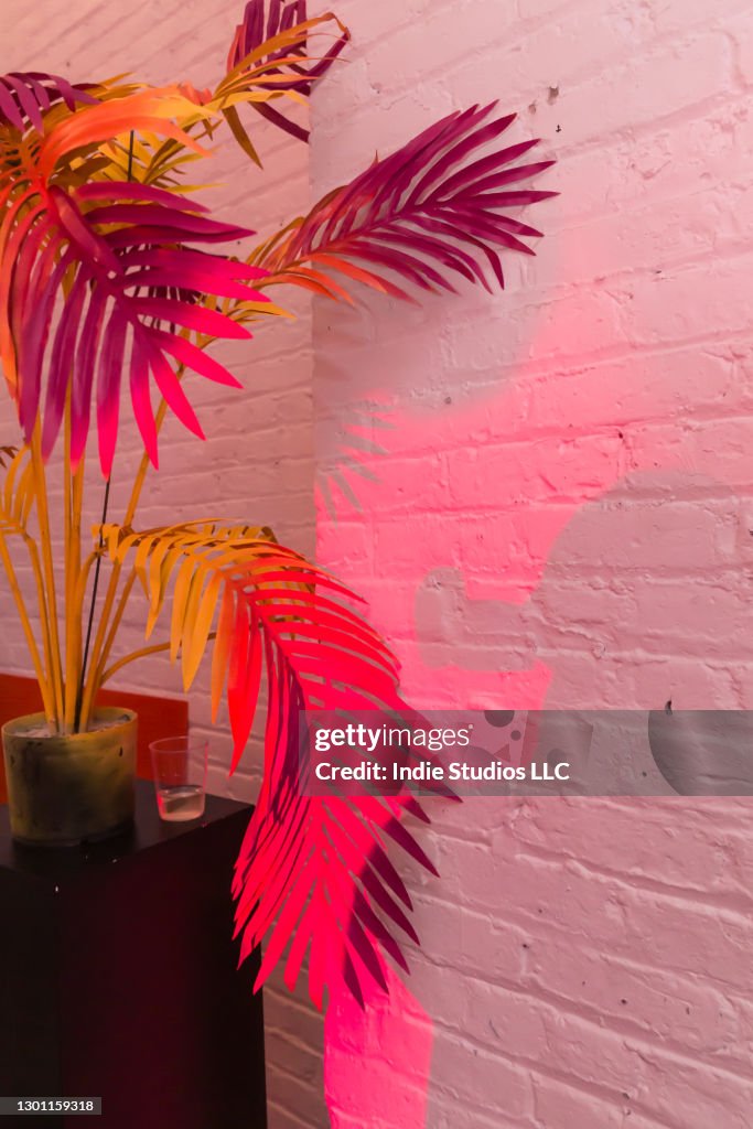 Painted Palm Leaves with Silhouette Shadow and Red Lighting