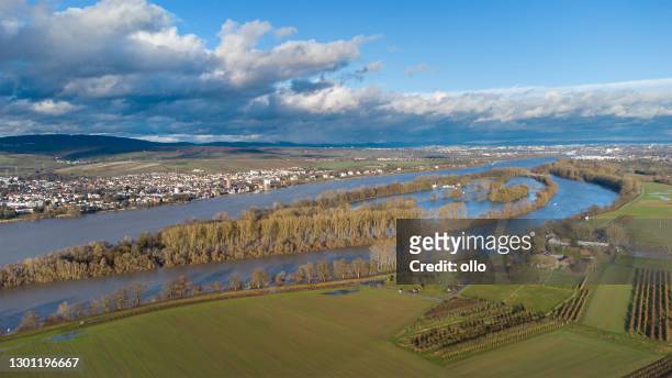 de rivier van rijn en overstroomde rivieroevers - het gebied van rheingau, duitsland - rheingau stockfoto's en -beelden