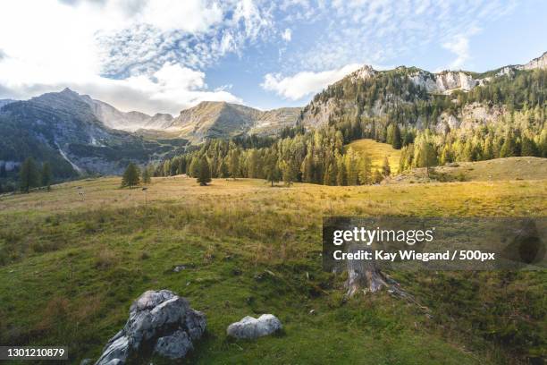 scenic view of landscape and mountains against sky,wurzeralm,spital am pyhrn,austria - spital am pyhrn stock pictures, royalty-free photos & images
