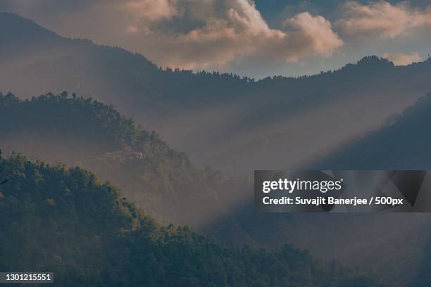 Netora Harley Neora Valley National Park Photos and Premium High Res Pictures - Getty ...