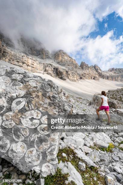 hiker woman admiring fossils and mountains, dolomites - shark valley stock pictures, royalty-free photos & images