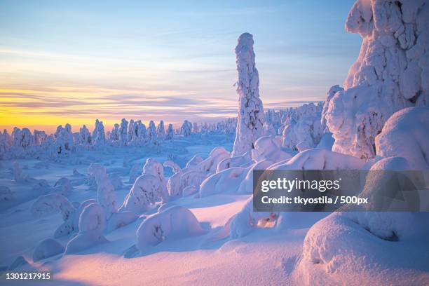 scenic view of snow covered landscape against sky during sunset,lapland,finland - finnish lapland stock-fotos und bilder