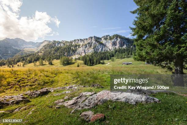 scenic view of landscape against sky,spital am pyhrn,austria - spital am pyhrn stock pictures, royalty-free photos & images