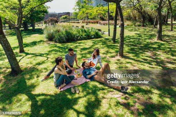 groep vrienden die picknick op het gazon in het park hebben - picknick stockfoto's en -beelden