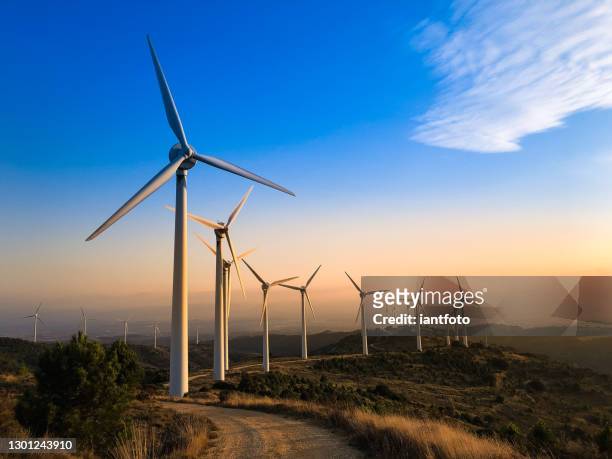 windpark bij zonsondergang. - energie industrie stockfoto's en -beelden
