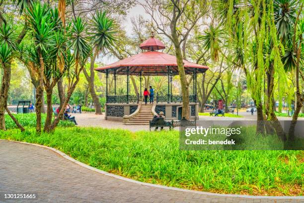 chapultepec park mexiko-stadt - bosque de chapultepec stock-fotos und bilder