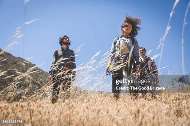 friends standing in field against blue sky - cool nature stock pictures, royalty-free photos & images