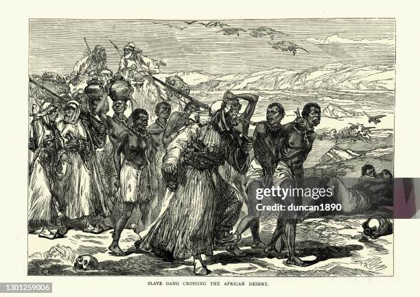 ilustrações de stock, clip art, desenhos animados e ícones de trans-saharan slave trade, slaves forced to cross desert, 19th century - slaves in chains