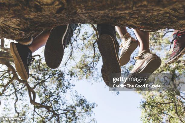 low section of friends sitting on tree branch in forest - male feet soles 個照片及圖片檔