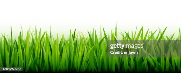 nahtloser grüner grashintergrund - blades of grass stock-grafiken, -clipart, -cartoons und -symbole