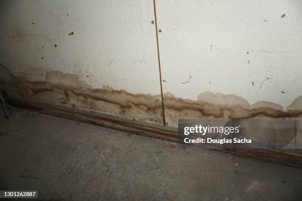 water stains on the damaged wall - flooded basement fotografías e imágenes de stock