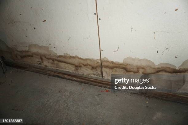 water stains on the damaged wall - basement flood stock pictures, royalty-free photos & images