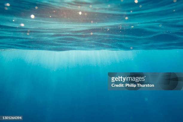 oceano marino acquatica blu chiaro con raggi di luce che arrivano attraverso la superficie dell'acqua - surface foto e immagini stock