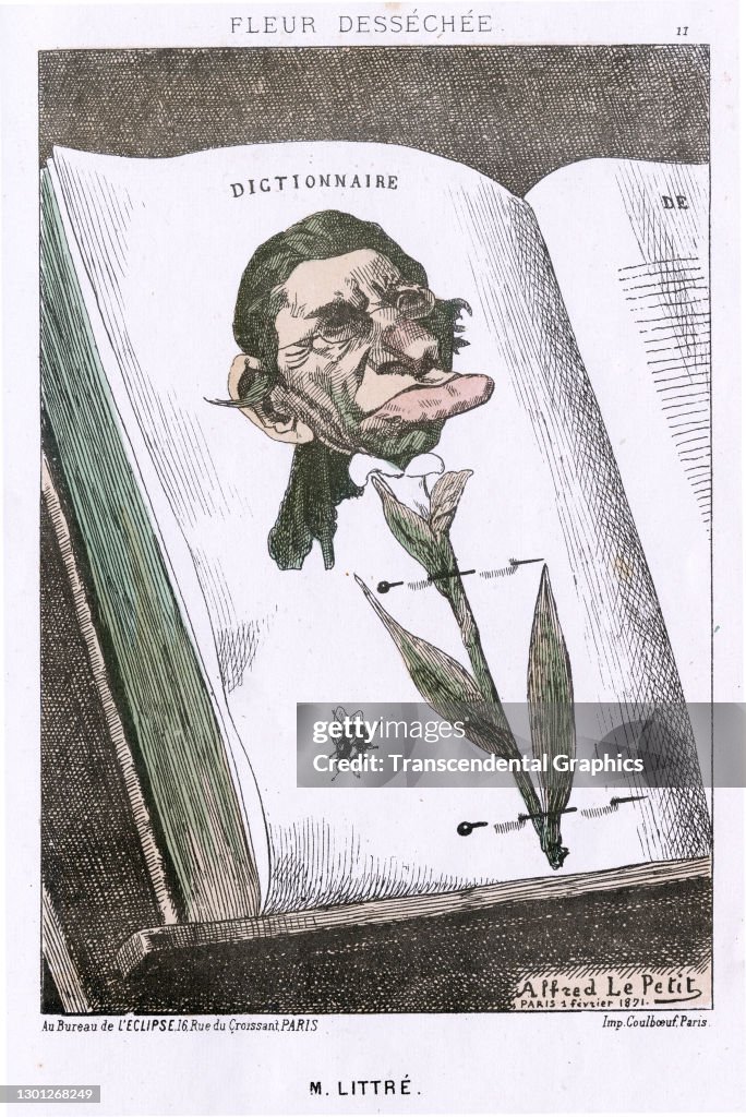 Littre As A Pressed Flower
