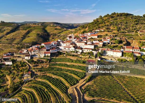 amazing views of douro vineyards and small village, portugal - un food and agriculture organization - fotografias e filmes do acervo