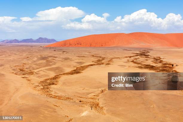 沙丘， 索蘇斯夫萊， 納米比亞 - kalahari desert 個照片及圖片檔