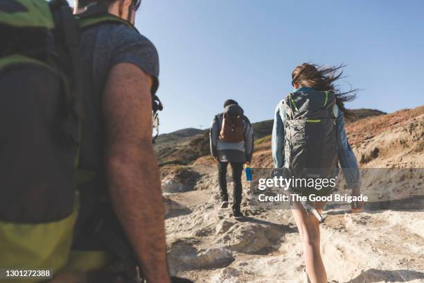 rear view of young friends hiking at beach on sunny day - sunny back fotografías e imágenes de stock