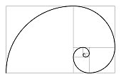 Golden ratio geometric concept. Fibonacci spiral. Vector illustration.