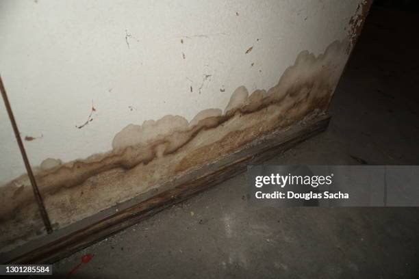 damp wall from a flooded basement - wet stock-fotos und bilder