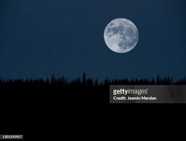 super moon over night forest - planetary moon stockfoto's en -beelden