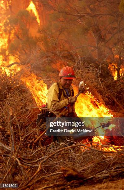 Forest Service firefighter shields his face from the heat of a backfire he set on the Los Coyotes Indian Reservation to fight a fire rushing through...