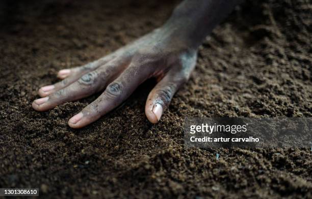 close-up of hand touching soil - fertiliser stock pictures, royalty-free photos & images