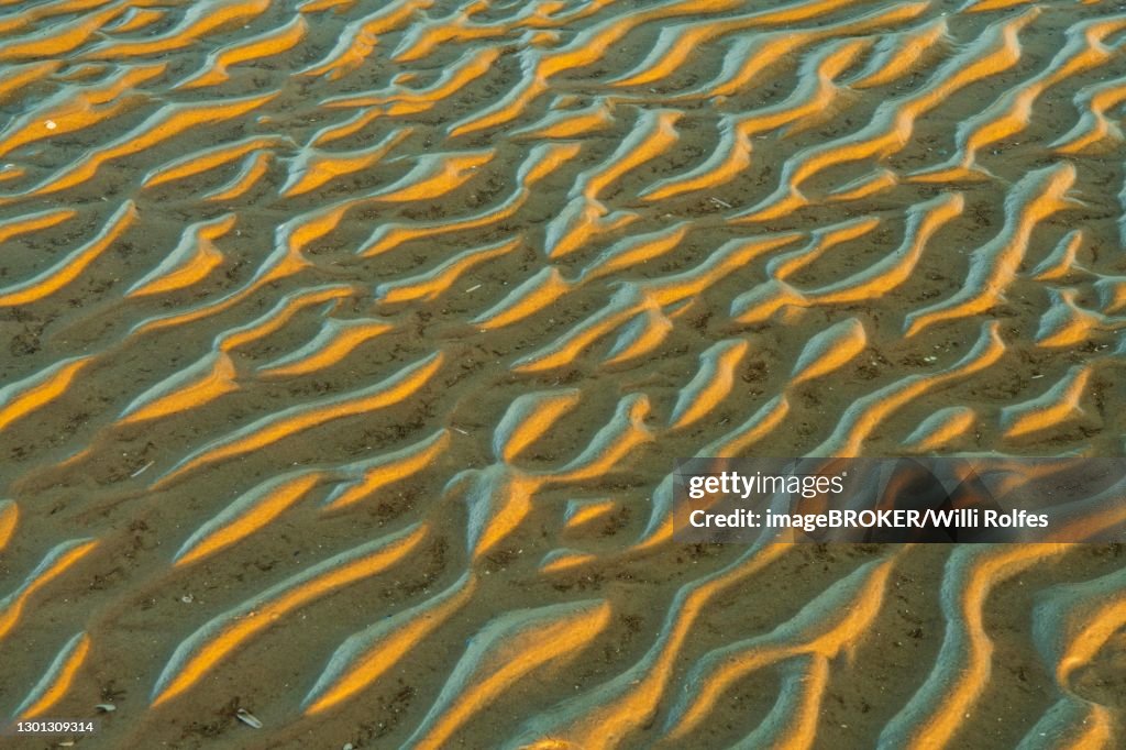 Structure in sandy beach at low tide, mudflats in evening light, Wadden Sea National Park, North Sea, North Frisia, Schleswig-Holstein, Germany