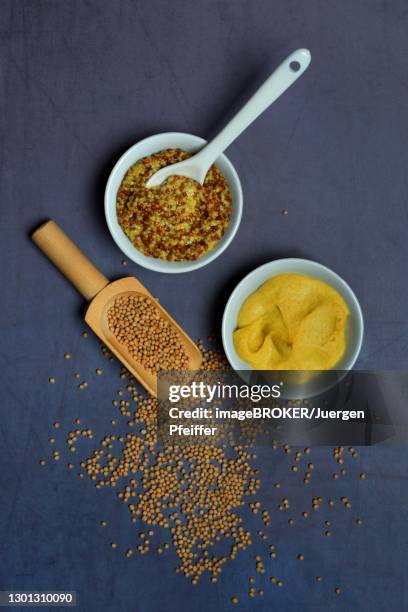 grainy and fine mustard in bowls, mustard seeds and wooden ladle, germany - grainy mustard stockfoto's en -beelden